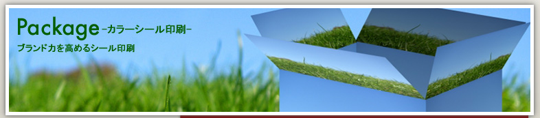 カラーシール印刷